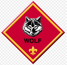 boy scout insignia