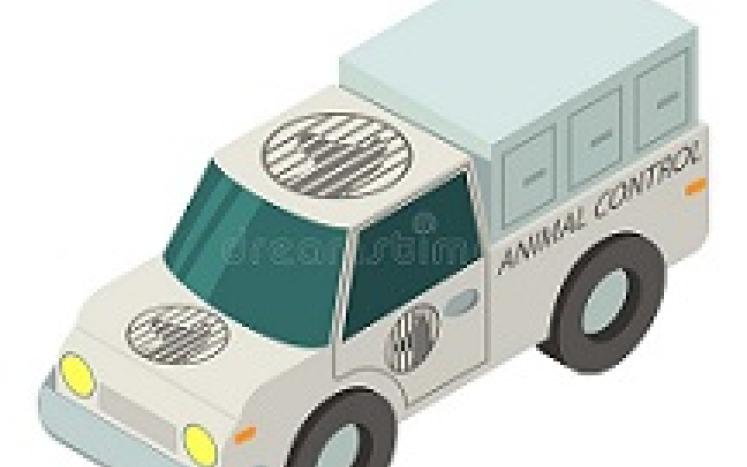 animal control image